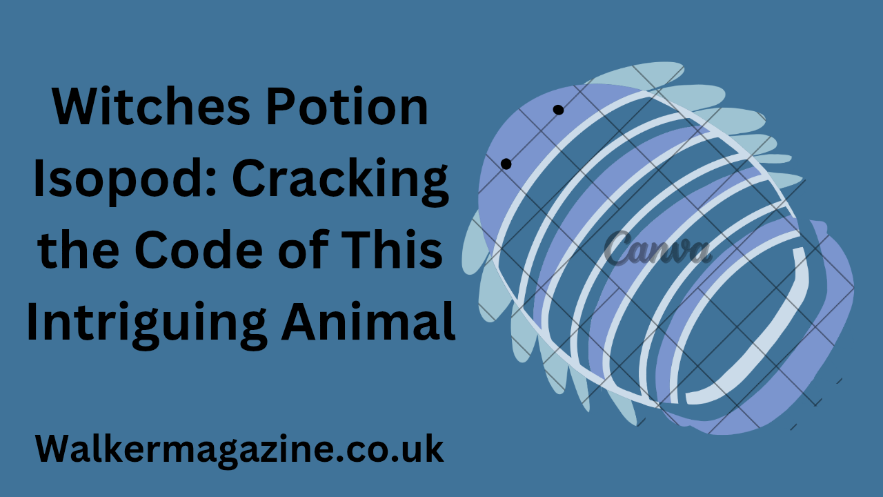 Witches Potion Isopod